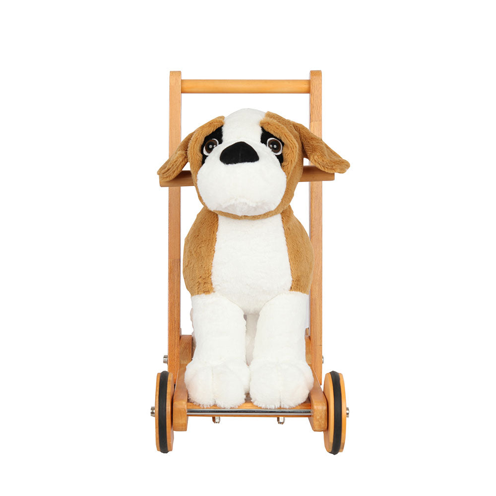 Walking assistance dog Bernard-2