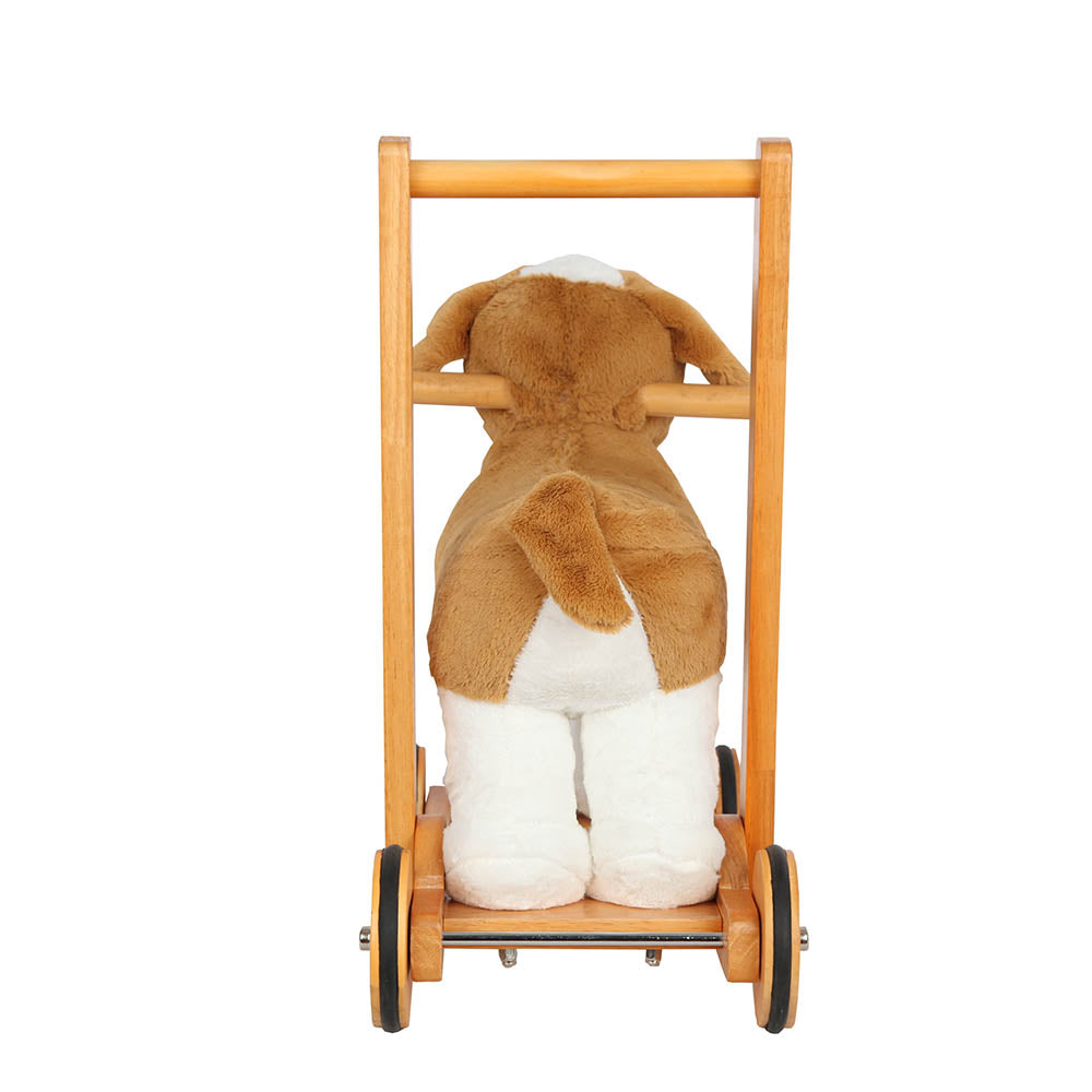 Walking assistance dog Bernard-3
