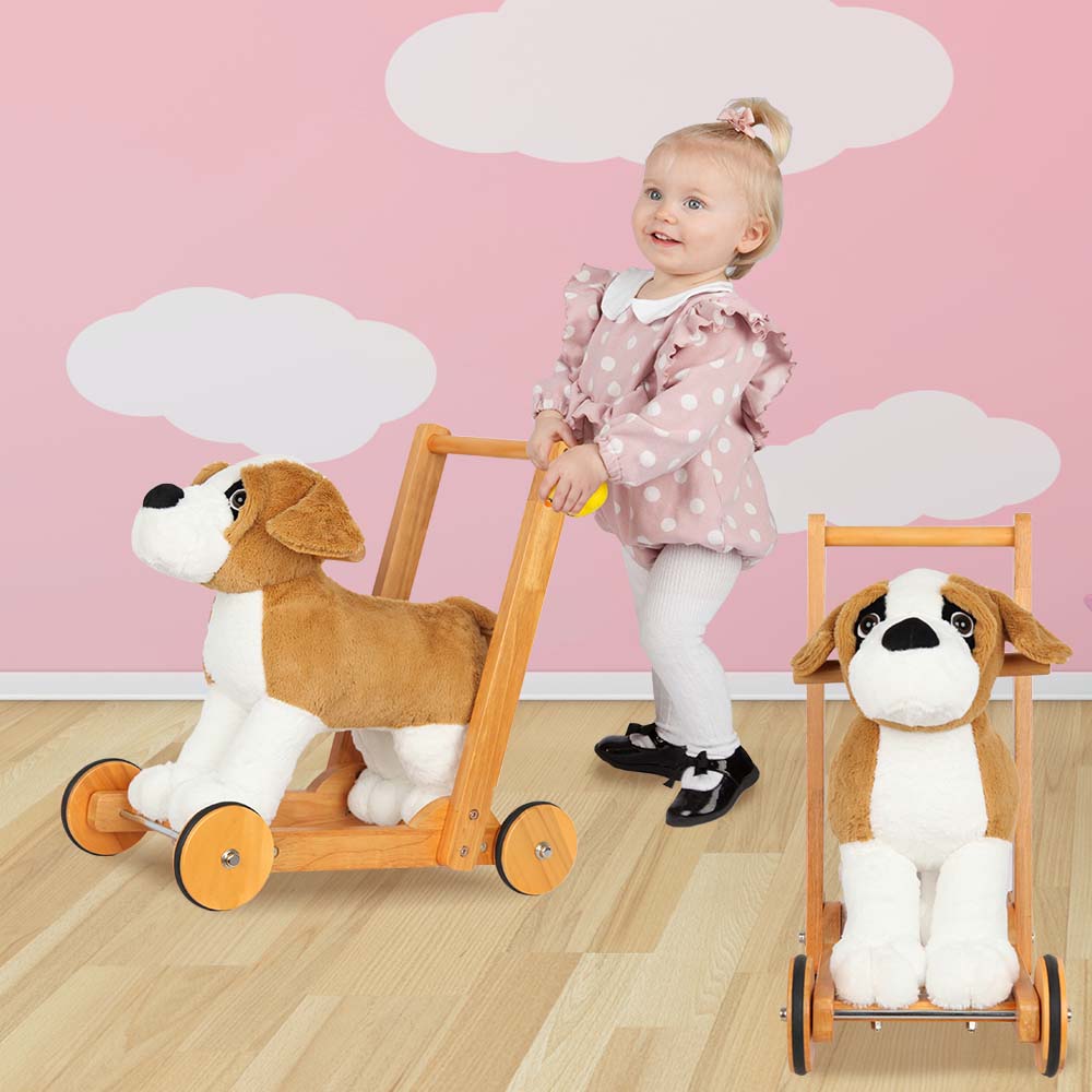 Walking assistance dog Bernard-4